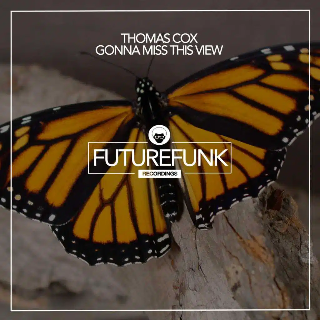 Gonna Miss This View (Club Mix)