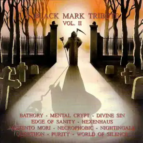 A Black Mark Tribute, Vol. II