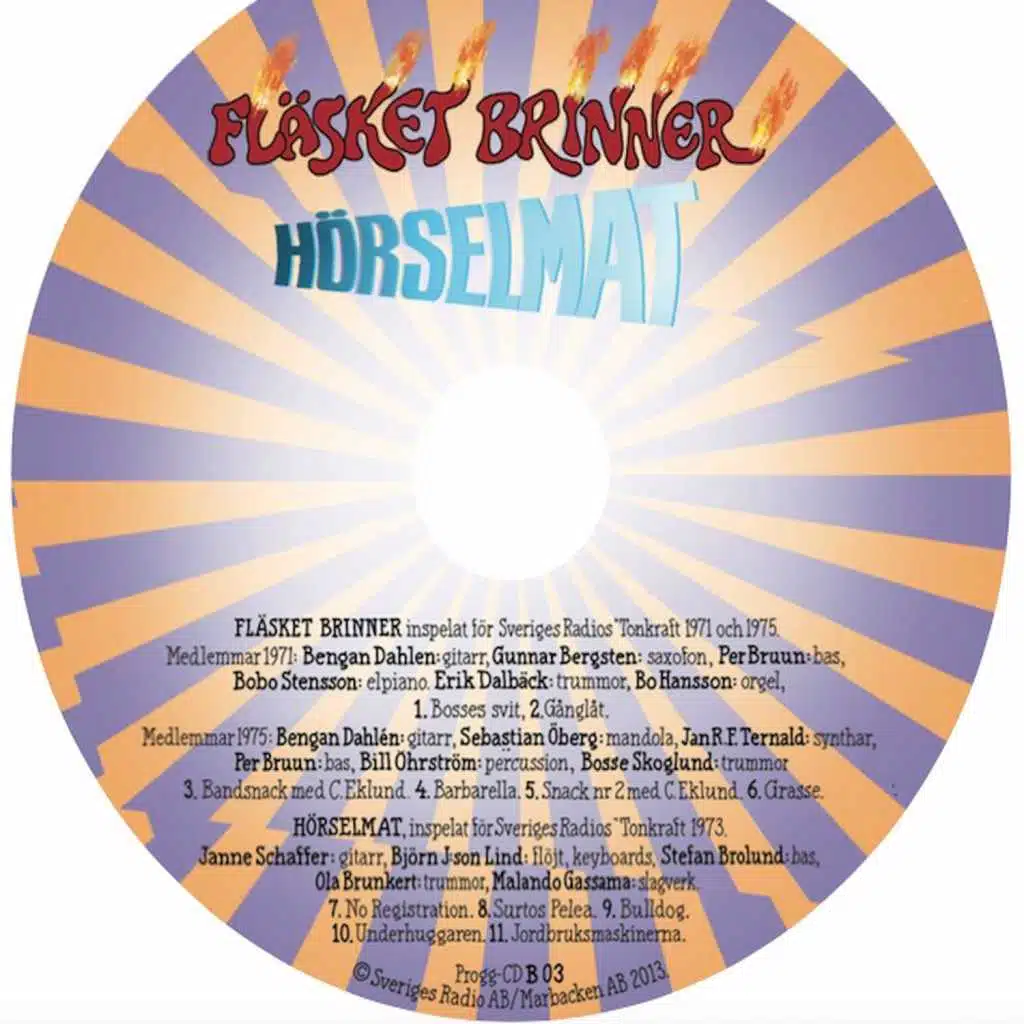 Progglådan Box B: Instrumentala, Experimentella, Urproggare samt Punk