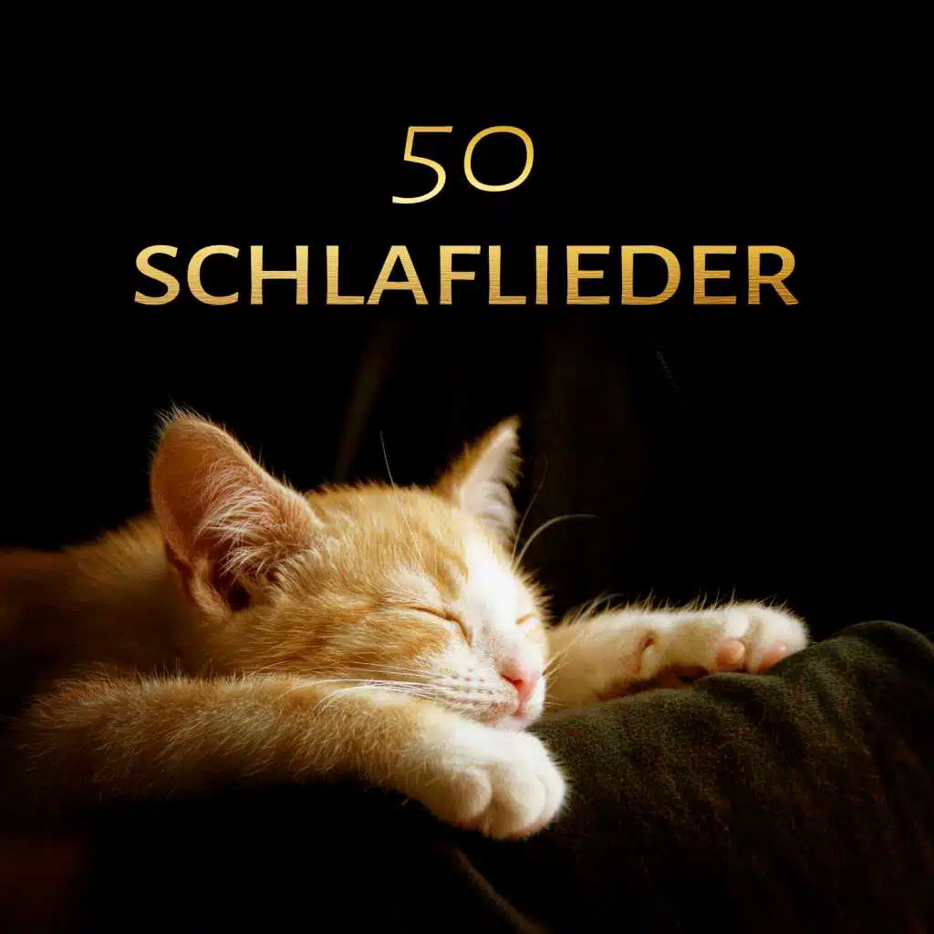 50 Schlaflieder: New Age & Ambiente instrumentale Hintergrundmusik und Entspannungsmusik mit Naturgeräuschen, Musiktherapie, Meditationsmusik, Besser Schlafen