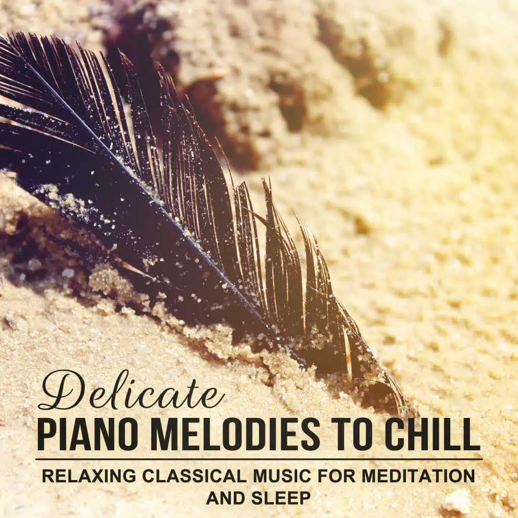 String Quartet No. 6 in B-Flat Major, K. 159: II. Allegro