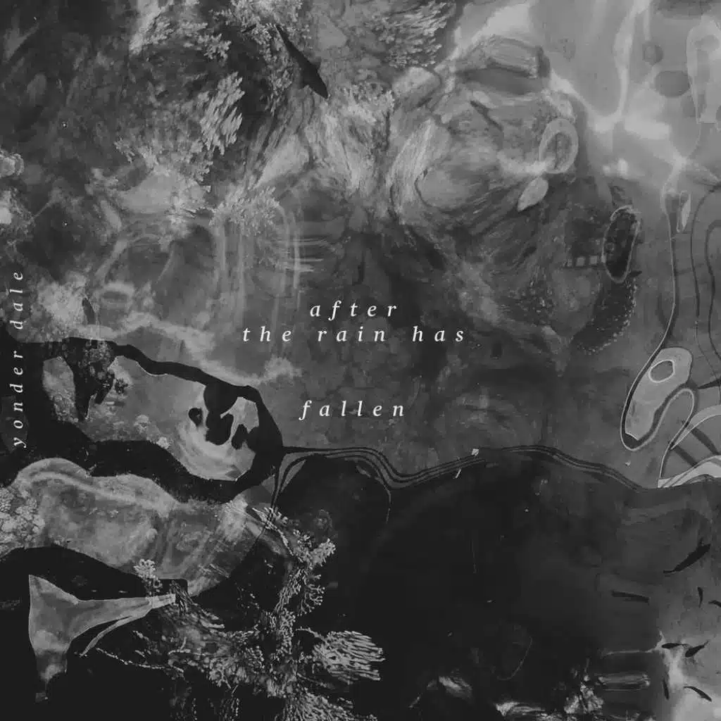 The Memory Of Strangers