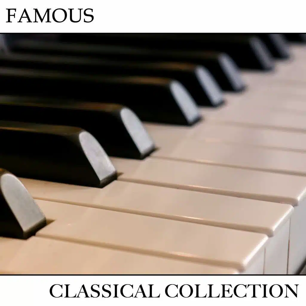 #19 Famous Classical Collection