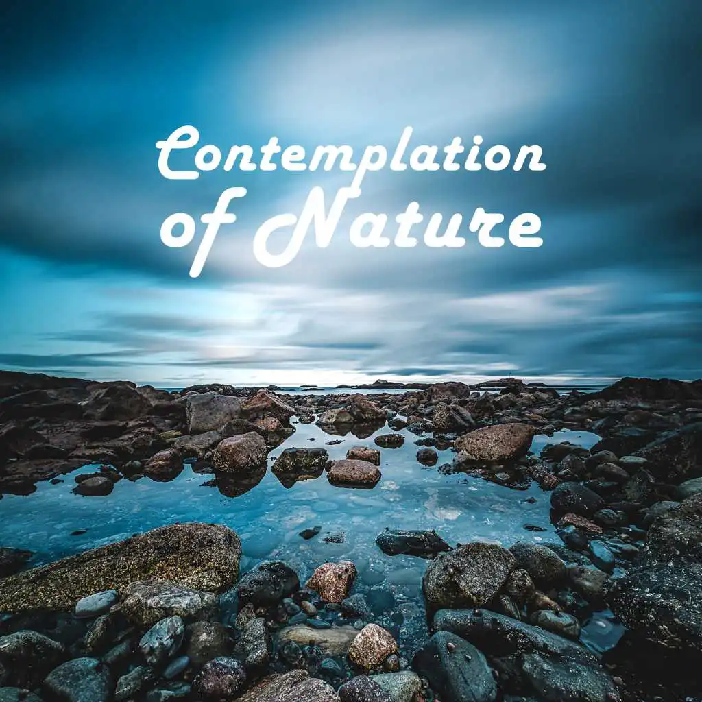 Contemplation with Nature