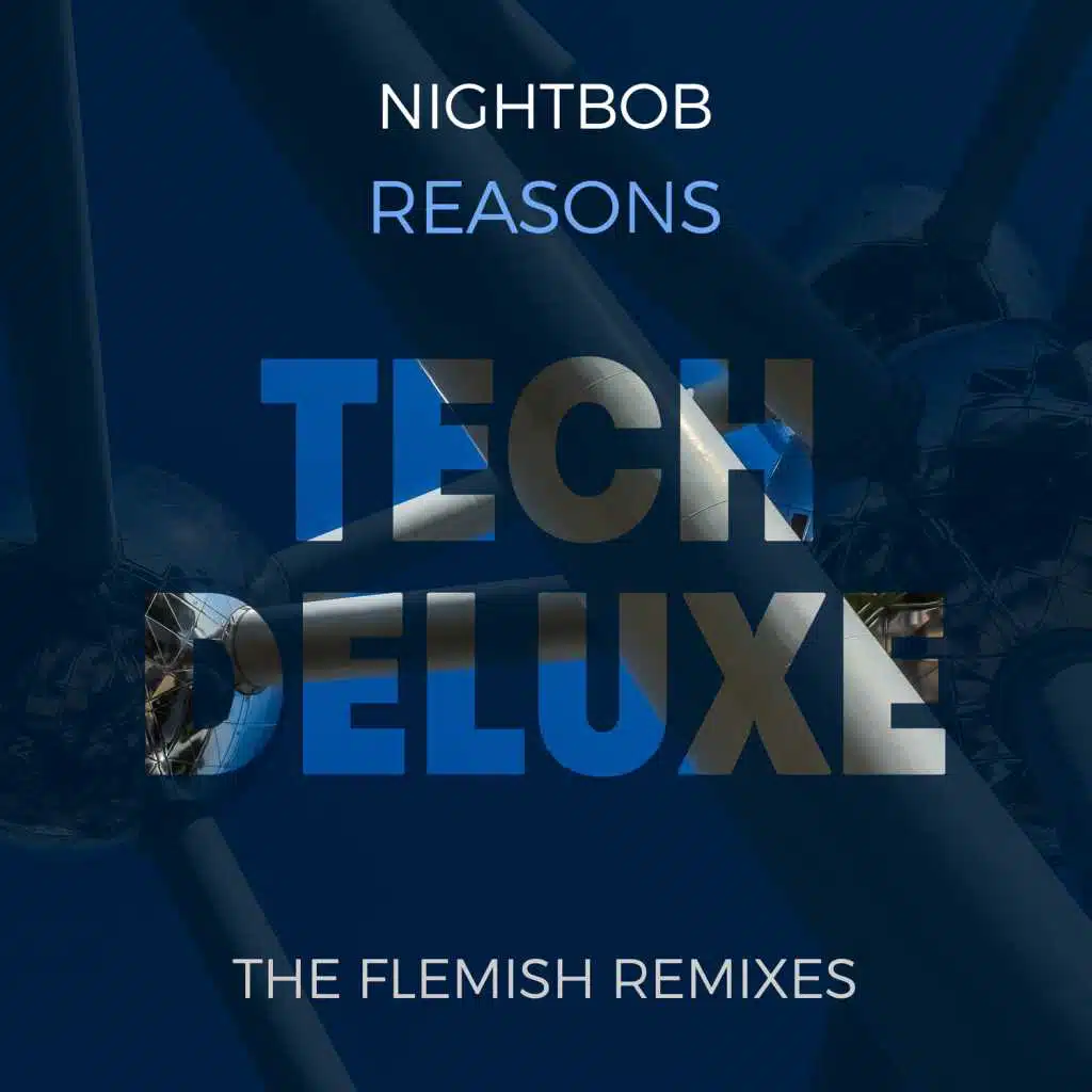 REASONS: The Flemish Remixes