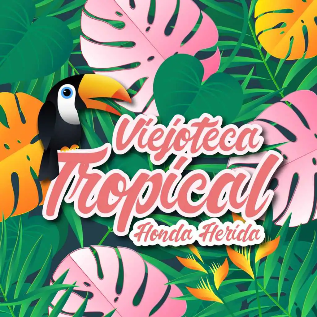 Viejoteca Tropical / Honda Herida