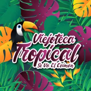 Viejoteca Tropical / Se Va el Caimán