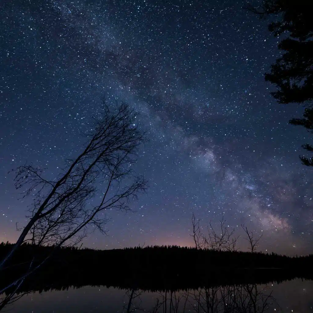 50 Powerful Nature Melodies for Deep Relaxation & Instant Focus