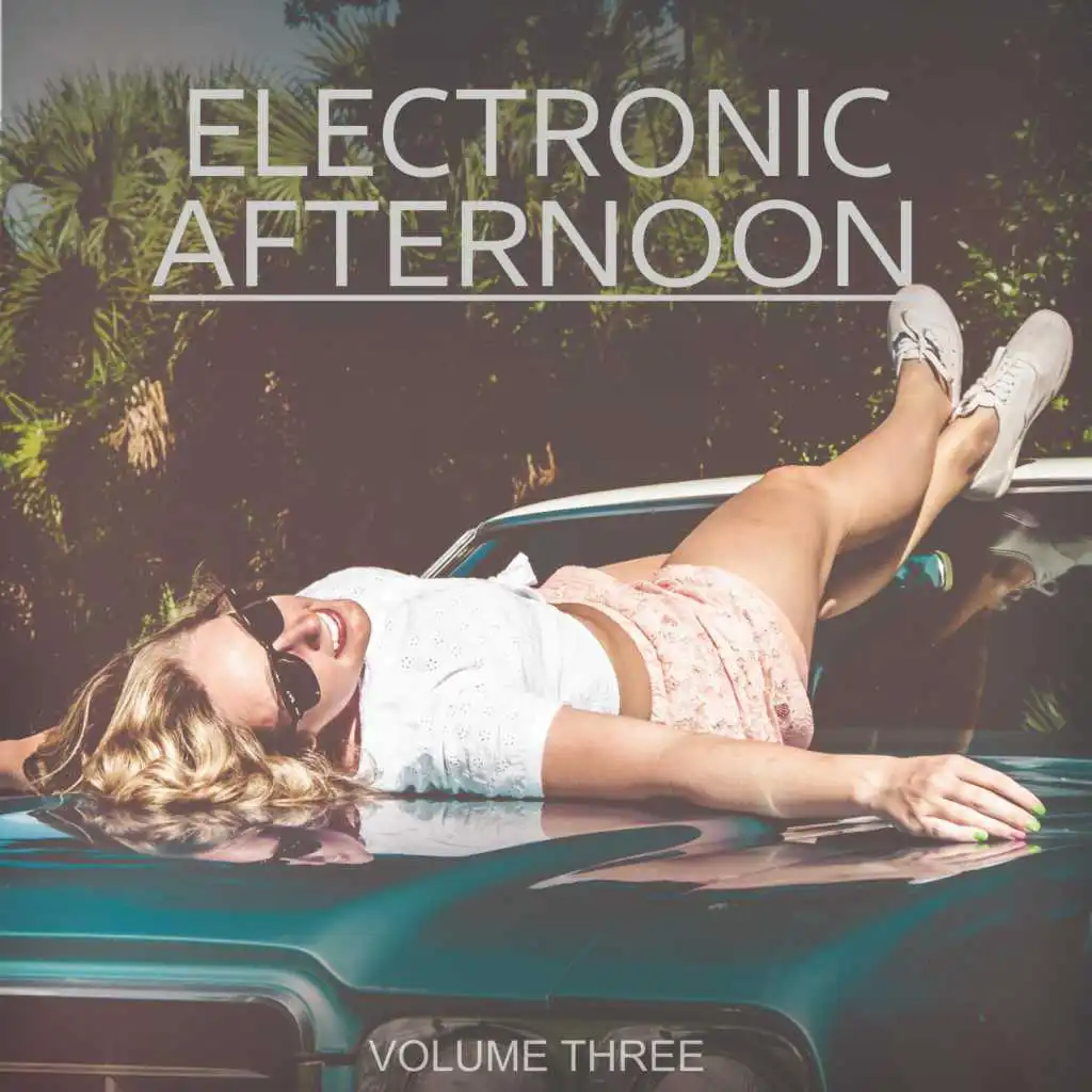 Electronic Afternoon, Vol. 3