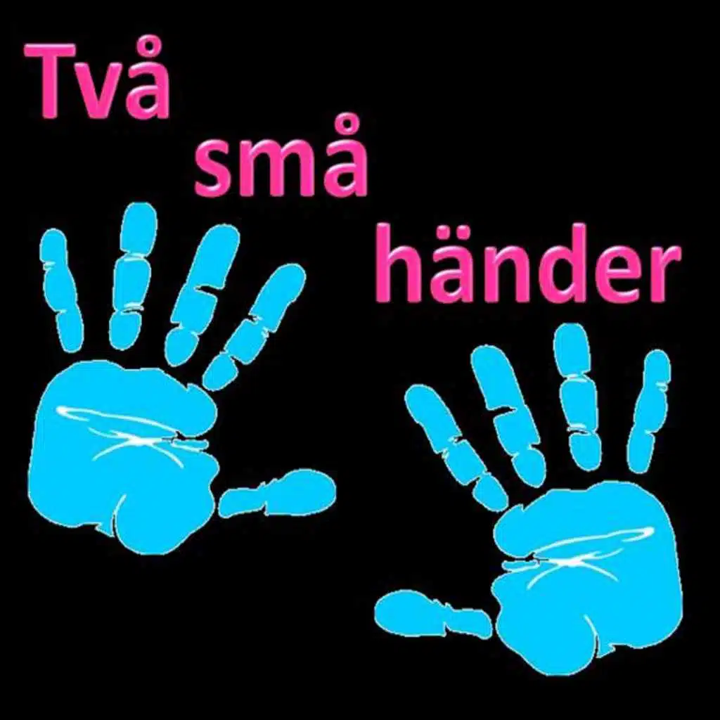En Liten Båt