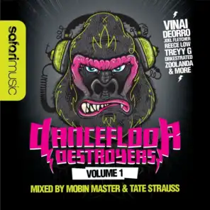 Dancefloor Destroyers vol 1 (Continuous mix) (Mixed by Mobin Master and Tate Strauss)