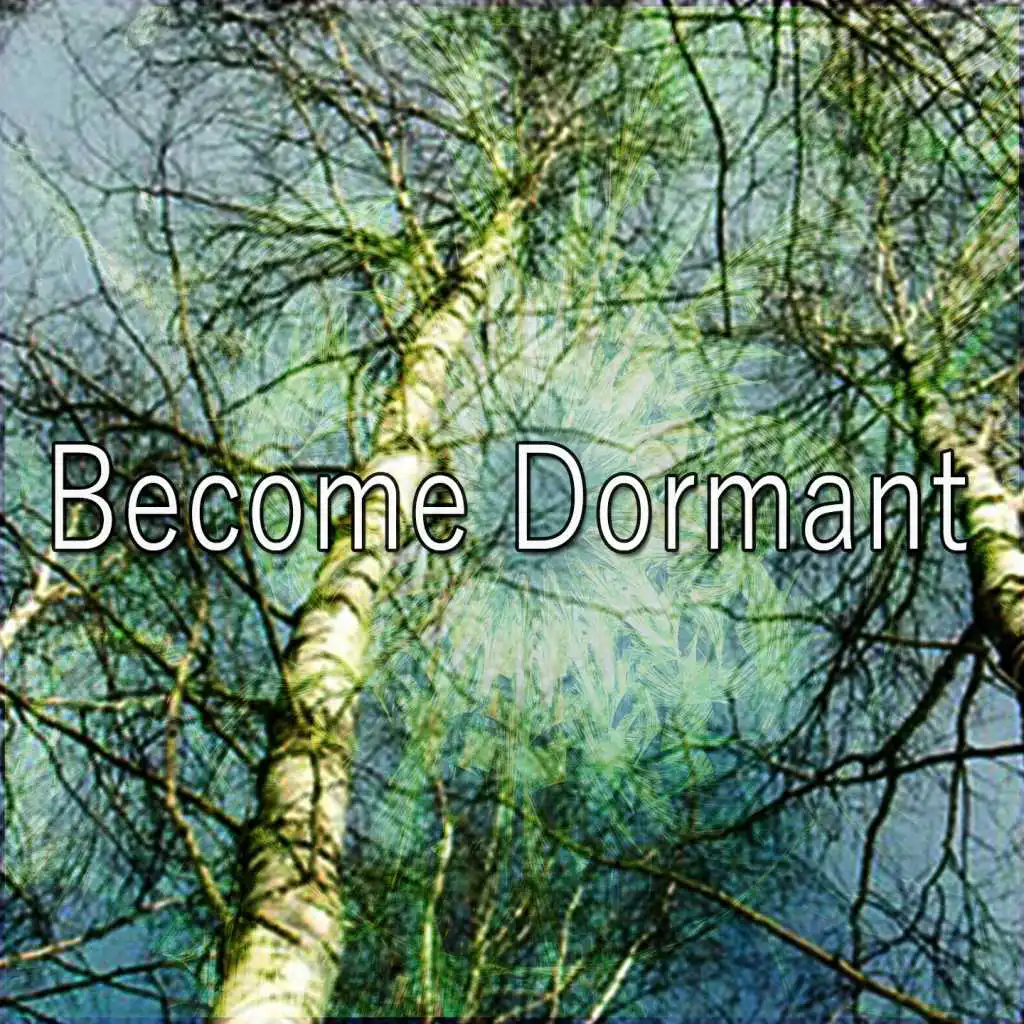 Become Dormant
