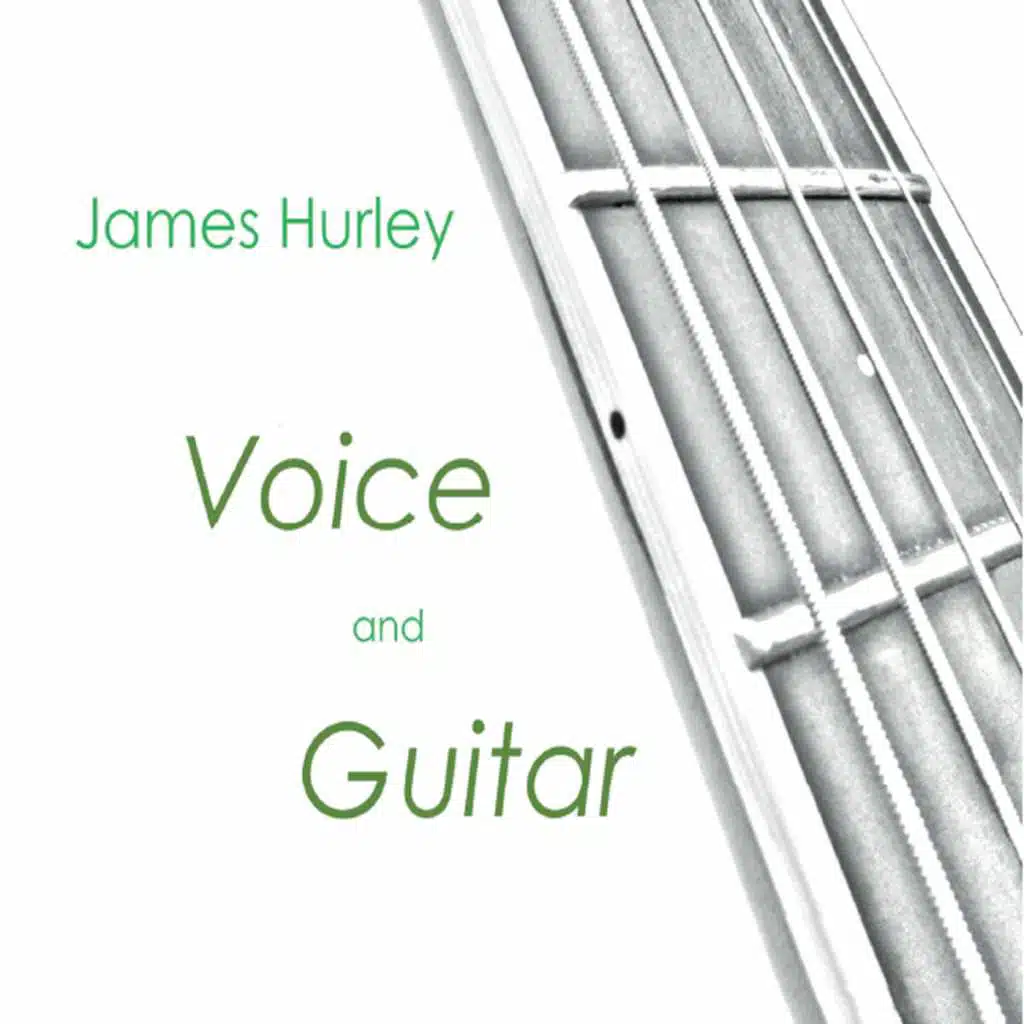 Voice and Guitar