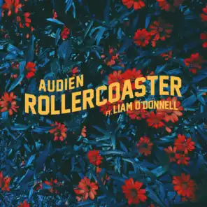 Rollercoaster (feat. Liam O'Donnell)