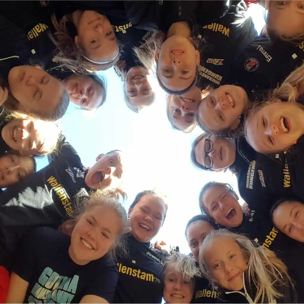 För bra för  att va sant (feat. Pixbo Wallenstam)