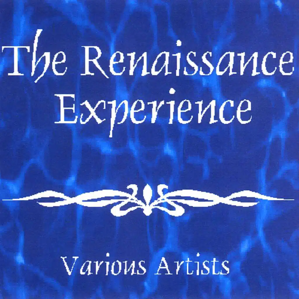 The Renaissance Experience
