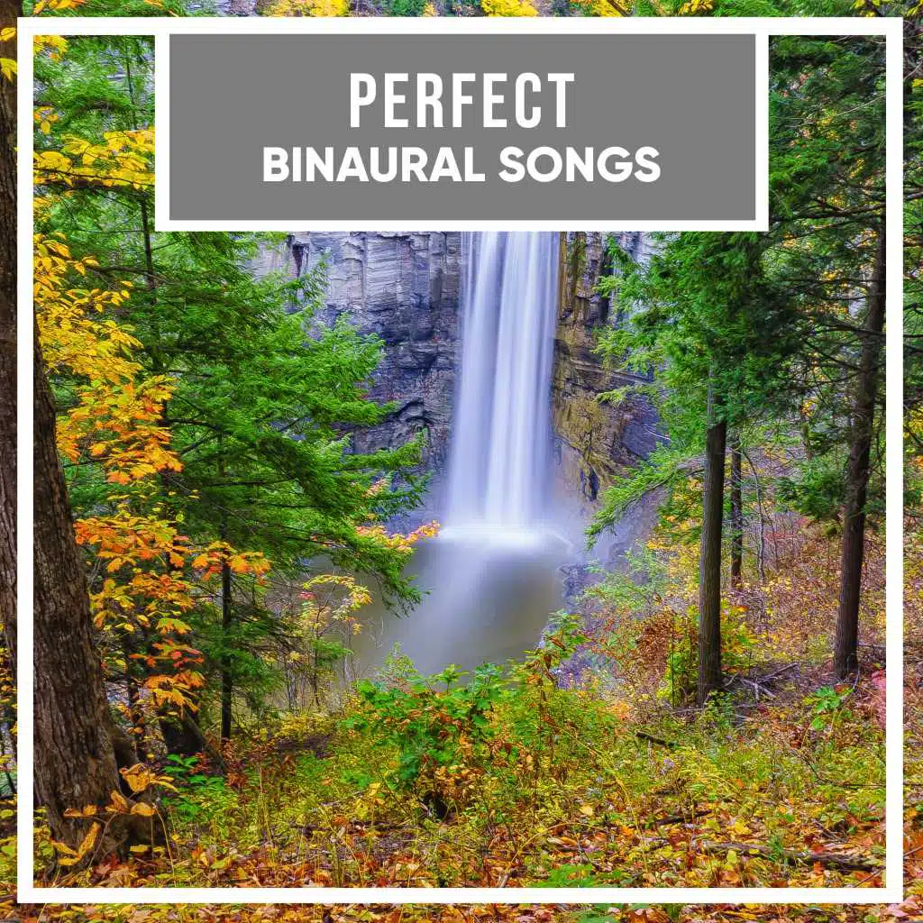 #10 Perfect Binaural Songs