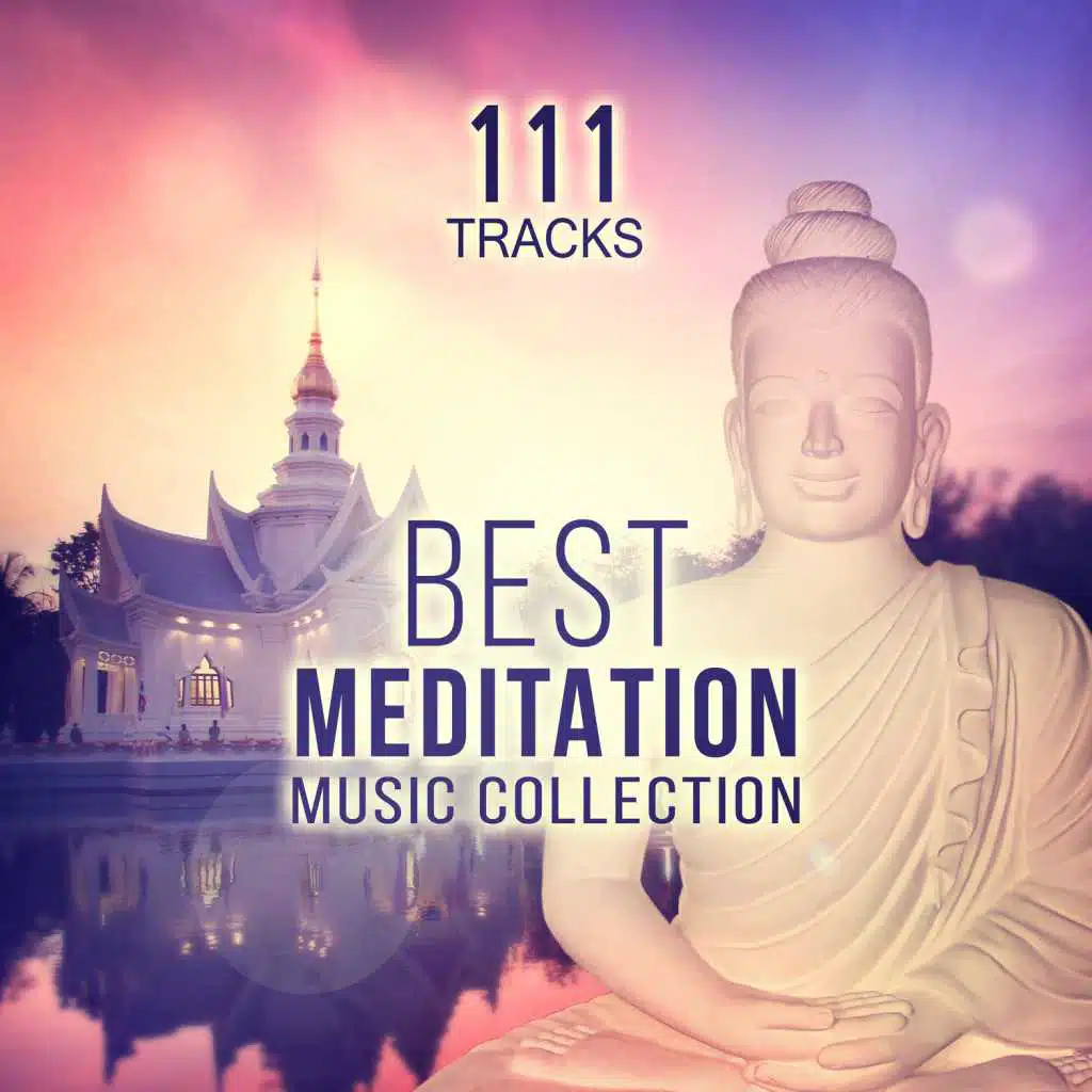 111 Tracks: Best Meditation Music Collection - Serenity Nature Sounds (Springwater, Birds & Gentle Rain) Yoga, Relaxing Instrumental Songs and Transcendental Meditation Mantras for Zen Garden