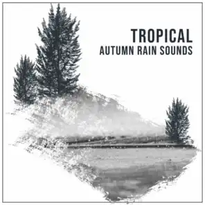 #10 Tropical Autumn Rain Sounds for Natural Sleep Aid