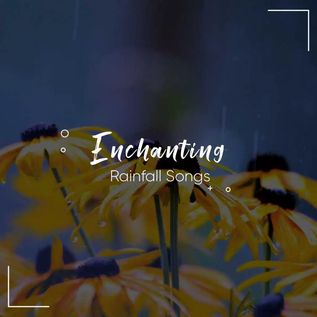 Spa, Raindrops Sleep, Relaxing Sleep Sound