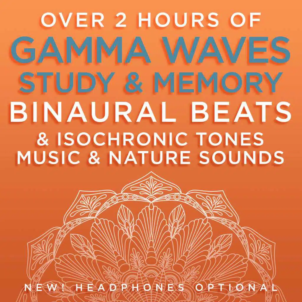 Distraction-Free Study  - 48.9 Hz Gamma Frequency Binaural Beats