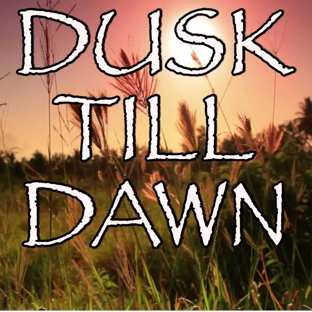 Dusk Till Dawn - Tribute to Zayn and Sia (Instrumental Version)