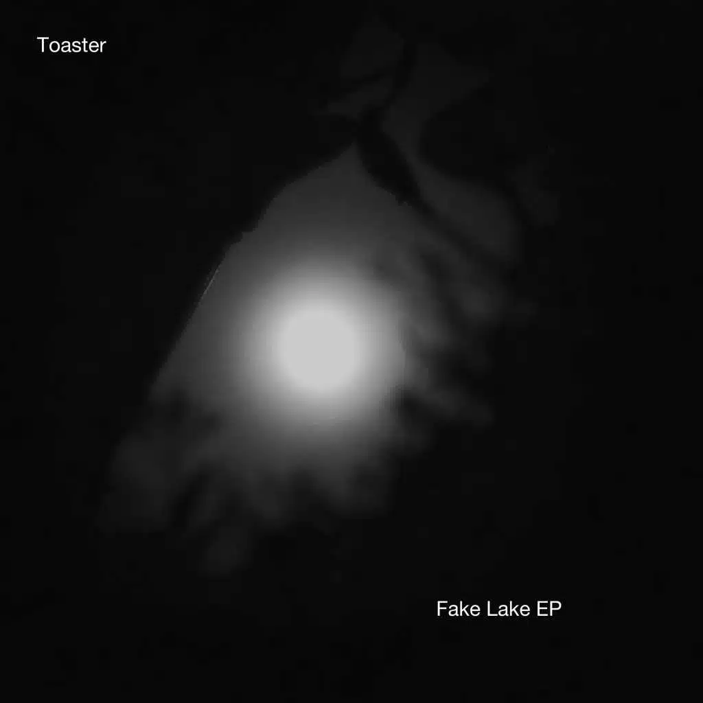 Fake Lake EP