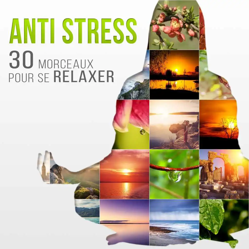 Anti stress: 30 Morceaux pour se relaxer – Zen relaxation et détente, Musique de fond pour harmonie, Sérénité et bien-être, La vie harmonique