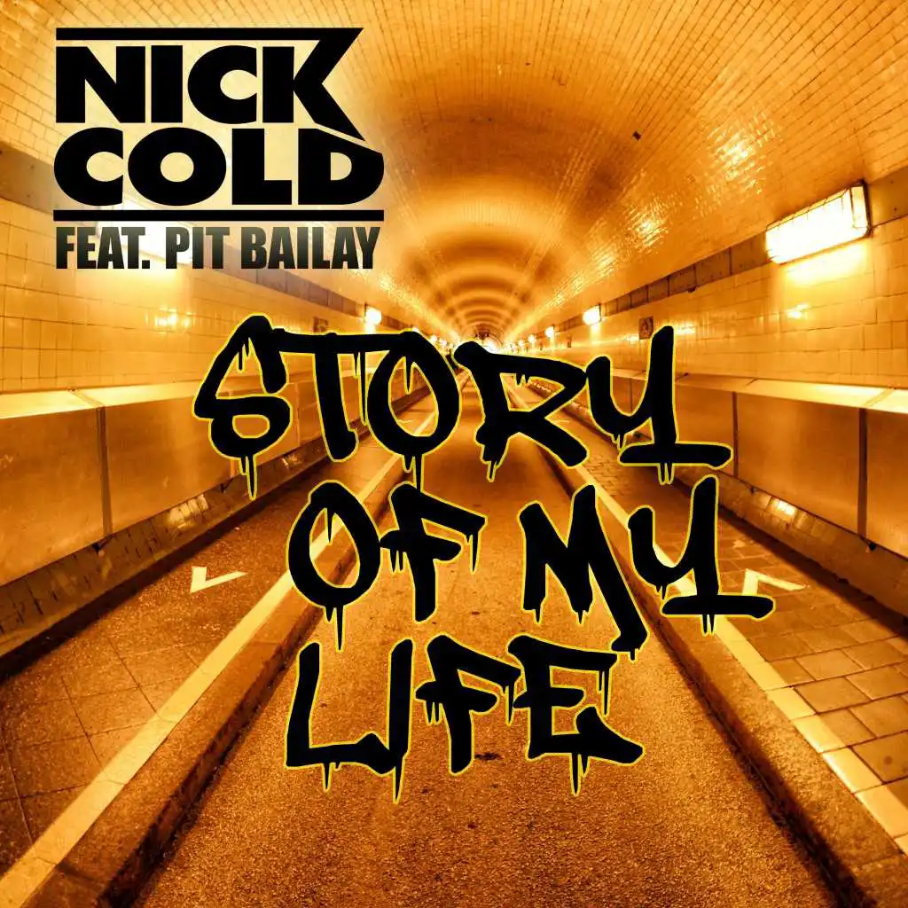 Story of My Life (Radio Mix) [feat. Pit Bailay]