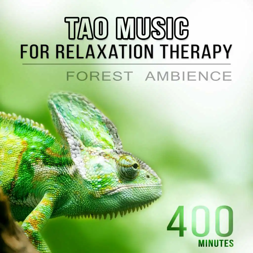 Tao Music for Relaxation Therapy