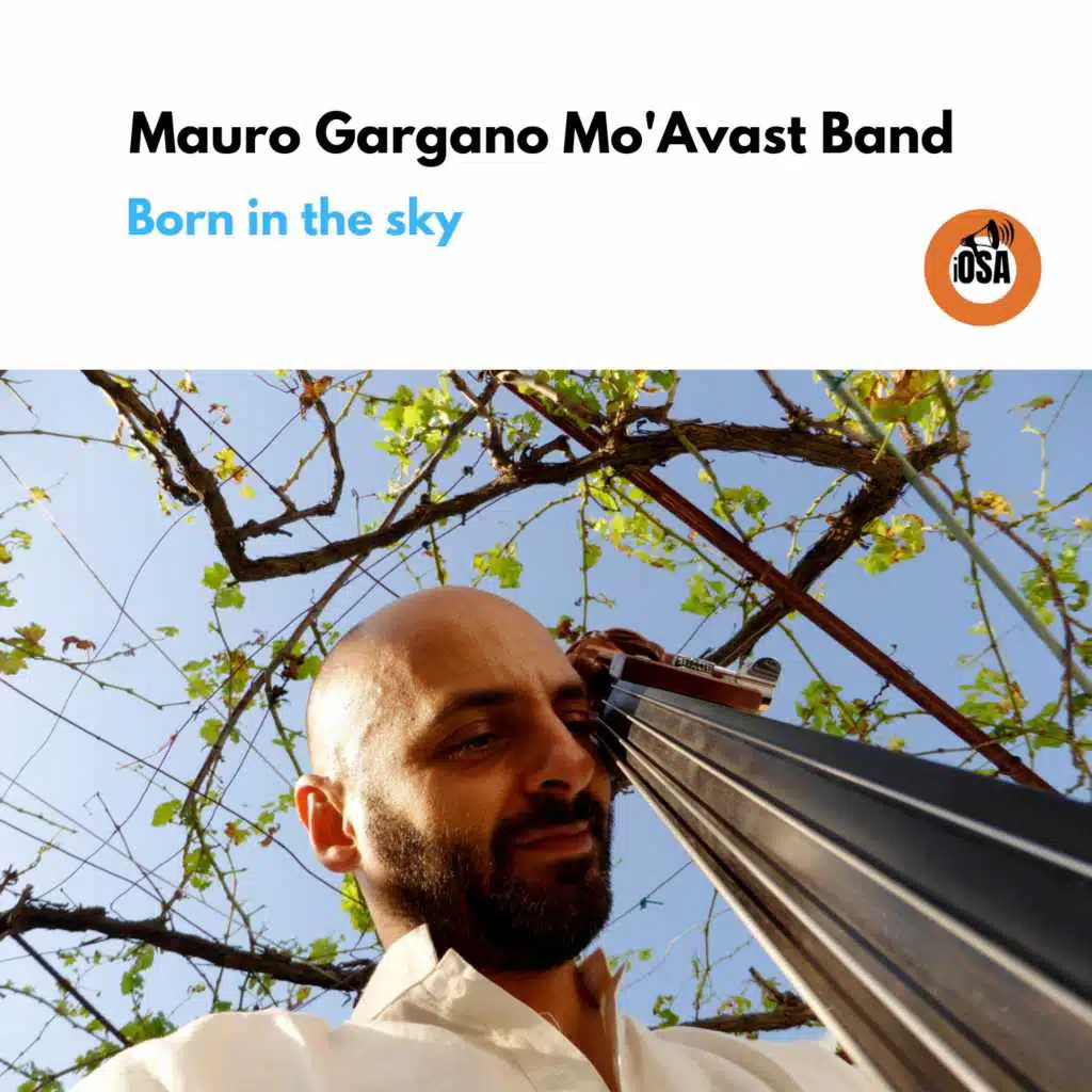 Born in the Sky