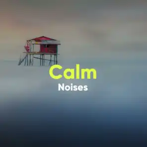 Calm Noises for Sleep Aid