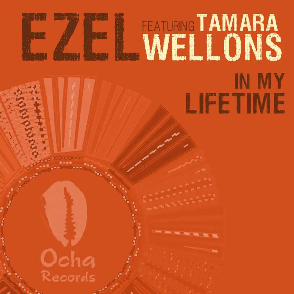 In My Lifetime feat. Tamara Wellons