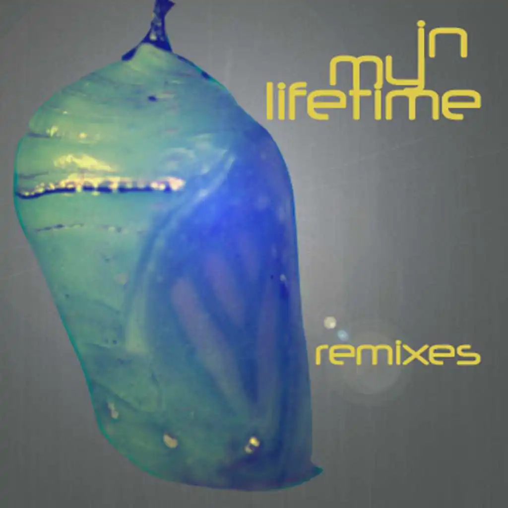 In My Lifetime Remixes (feat. Tamara Wellons & Djinji Brown)