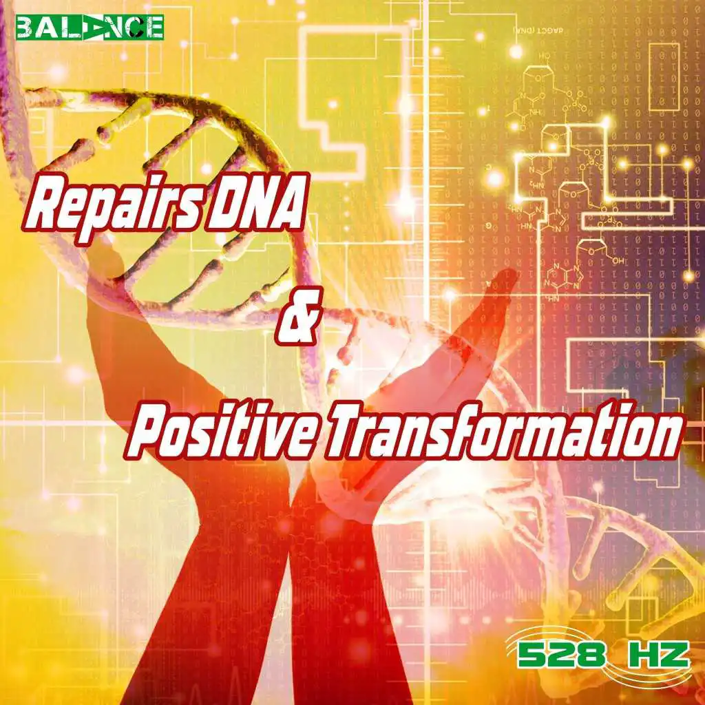 Repairs DNA & Positive Transformation Step 6