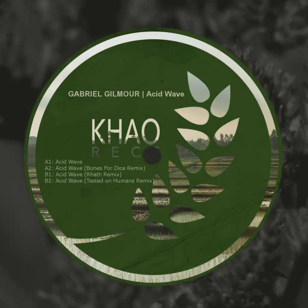 Acid Wave (Remixes)