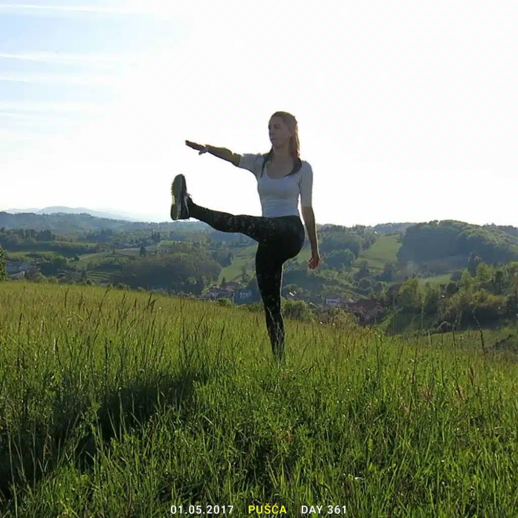 Dust (Mano Le Tough Remix)