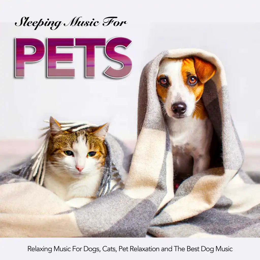 Sleeping Music For Pets, Relaxing Music For Dogs, Cats, Pet Relaxation and The Best Dog Music