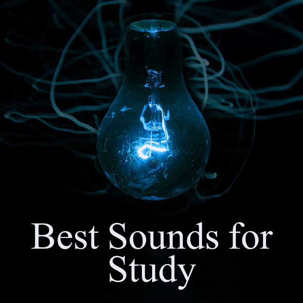 Best Sounds for Study – Piano New Age Music, Soothing Background Sounds, Sounds of Nature for Learning, Brain Power