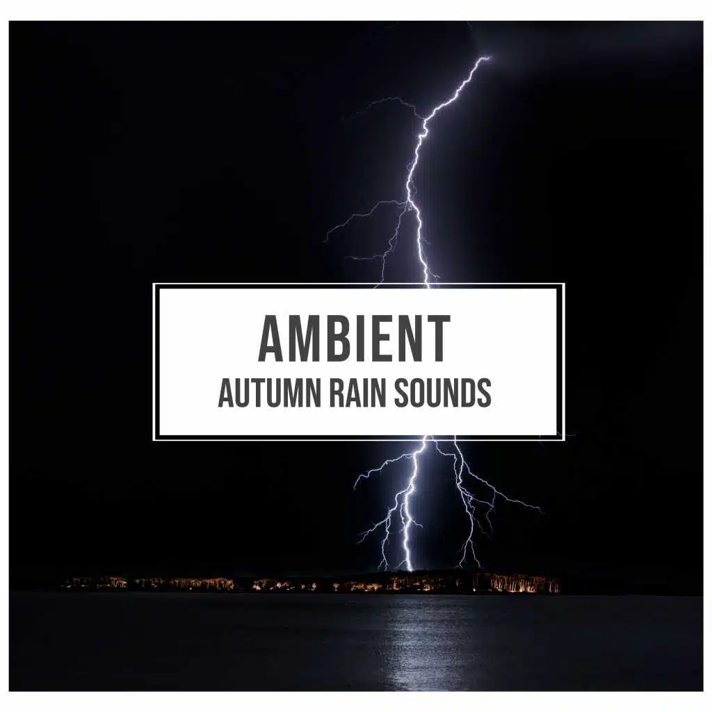 #17 Ambient Autumn Rain Sounds