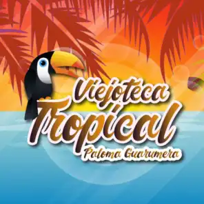 Viejoteca Tropical / Paloma Guarumera