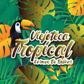 Viejoteca Tropical / Carmen De Bolivar