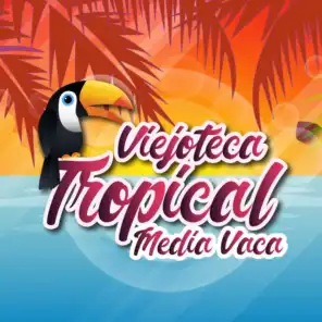 Viejoteca Tropical / Media Vaca