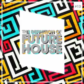 The Definition Of Future House, Vol. 13