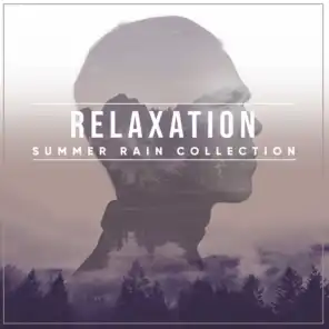 Rain Sounds - Ambient White Noise Rain