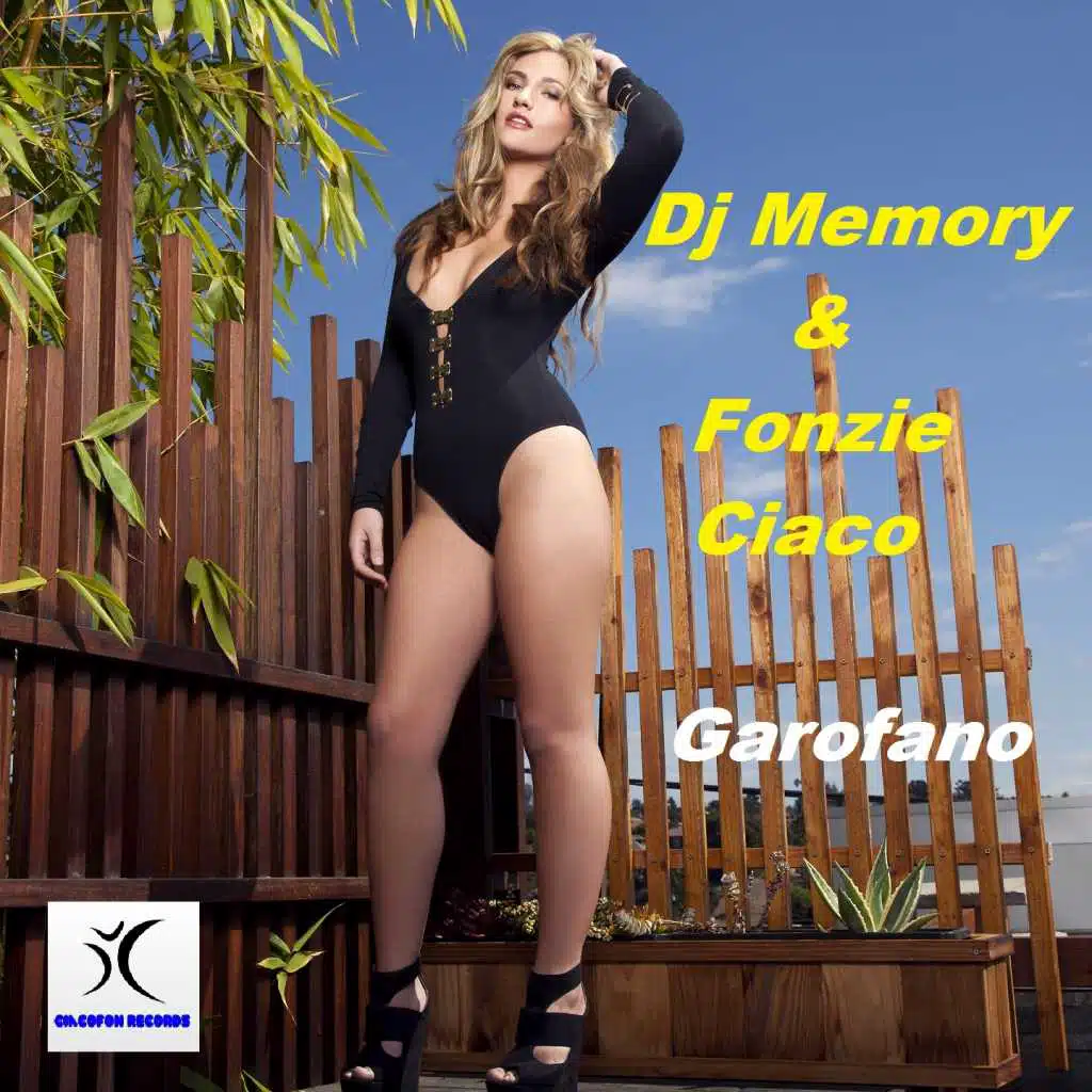 Fonzie Ciaco, DJ Memory, Dj Alfonso, DJ Fonzie, Fonzie Ciaco, DJ Memory, Dj Alfonso, DJ Fonzie, Dj Fonzy & Dj Fonzy