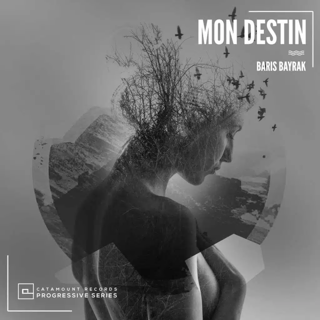 Mon destin