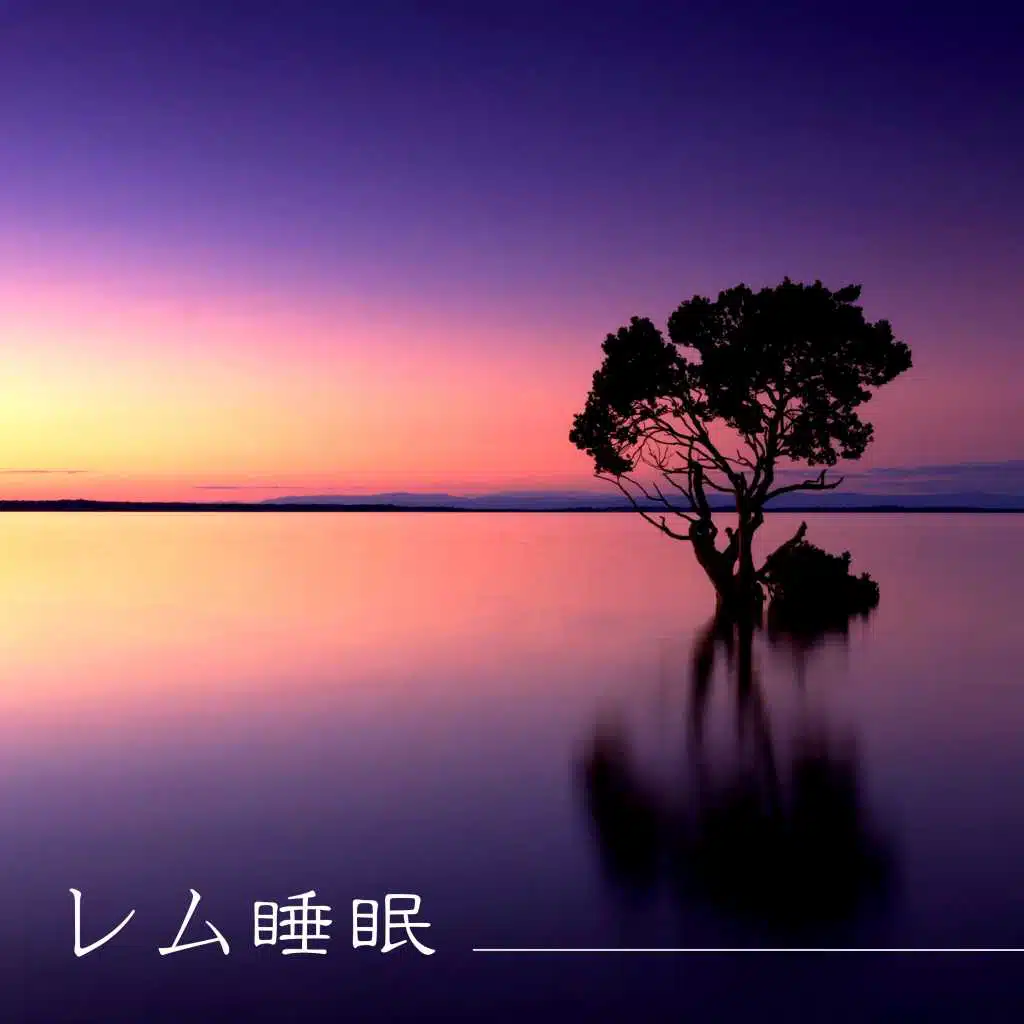 レム睡眠 ・ α波で安らぎのリラックスタイム