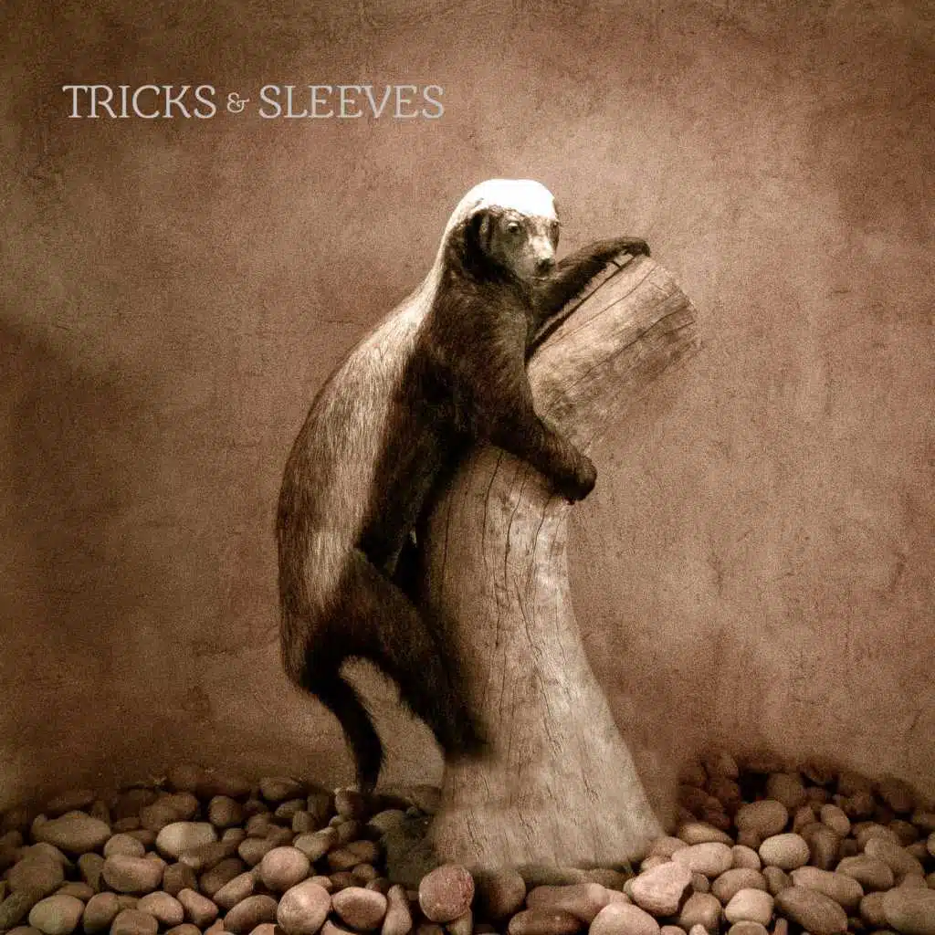Tricks & Sleeves