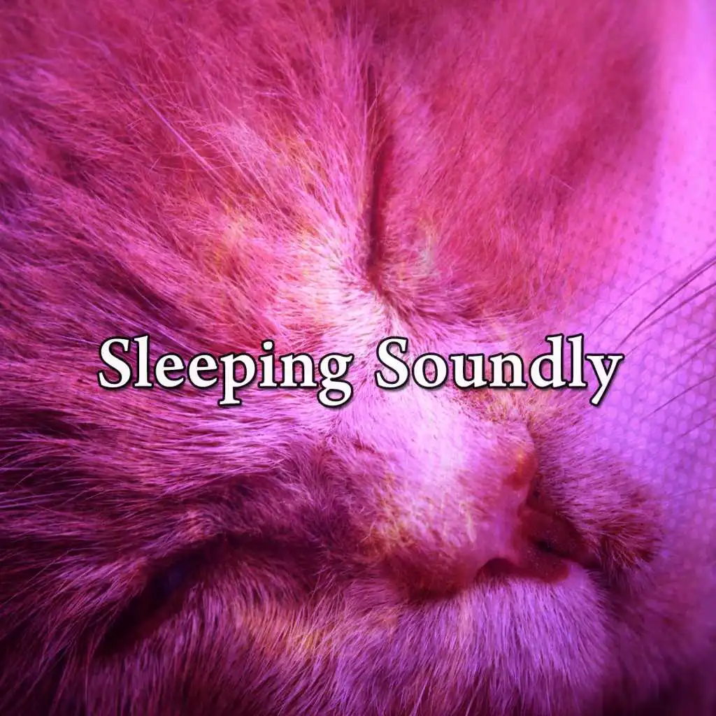 Sleeping Soundly